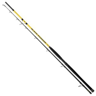 Black Cat Black Passion G2 Bank 300cm 600g - Wallerrute, Rute zum Wallerangeln, Steckrute zum Uferangeln von Black Cat