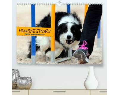 CALVENDO Wandkalender HUNDESPORT - Agility und Dog Frisbee (Premium, hochwertiger DIN A2 Wandkalender 2023, Kunstdruck in Hochglanz) von CALVENDO