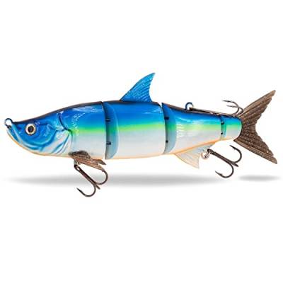 FISHN® TRAWL27 - XL Swimbait, Magnetic-Top-Hook System, Tauchtiefe: 2-5 Meter, 27cm, 218gr, Slow-Sinking, 3 Anbisstellen, großer Schleppköder zum Hecht Angeln (TRAWL27 Blue Star) von FISHN