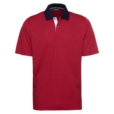 GOLFINO Men's Infrared Golf Polo Shirt, Mens, Crimson, Small | American Golf von GOLFINO