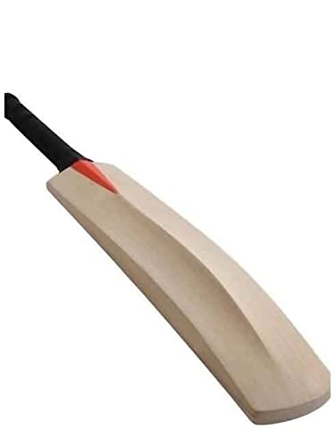 Kalindri Sports Cricketschläger aus Holz, beliebte Weide für Tennis, Gummiball (1 Zahl, einfarbig) von Kalindri Sports
