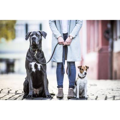 Kentucky Dogwear Nylon Hundeleine geflochten 2m von Kentucky Dogwear