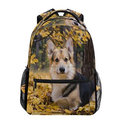 Hund Corgi On A Walk Schulrucksack für Jungen Mädchen Kinder Reisetasche Bookbag von Mnsruu