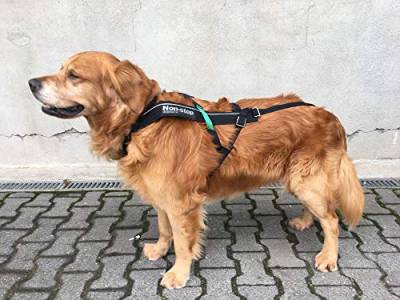 NON-STOP Zuggeschirr FREEMOTION HARNESS Brustgeschirr schwarz für Hunde Größe 6 von Non-stop dogwear