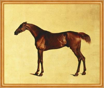 Kunstdruck Pangloss Stubbs Pferde Rassen Tiere Schlank Braun Trense B A2 00030 Ge, (1 St) von OTTO