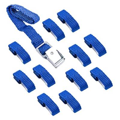ProPlus Befestigungsriemen für Fahrradträger blau 12er Set 40 cm Metallschnallen von ProPlus
