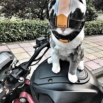 Welpe Katze und Hund Haustier Mini Helm, Outdoor-Sport Kopfschutzausrüstung Helm Haustier Sonnenschirm Hut Fahrrad Haustier Integralhelm von WLXW