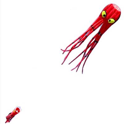 Wolkenstürmer Einleiner Mini Octopus rot inklusive 60m Schnur (40kp) auf Spule von Wolkenstürmer