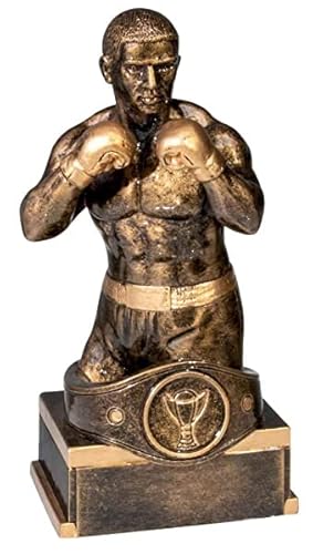eberin · Boxen-Pokal, Resinfigur Box-Champion, Bronze, mit Wunschtext und auswählbarem Motiv-Emblem 2,5 cm, Größe 18 cm von eberin