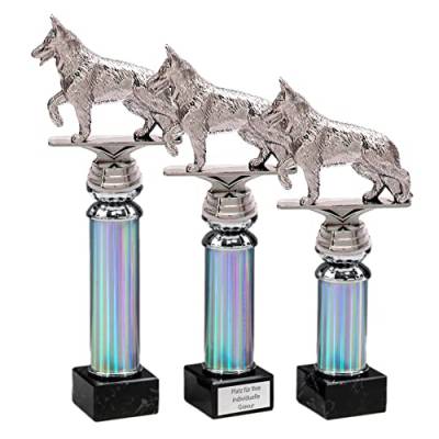 eberin · Hundesport Pokal · Hundewettkampf · Hunde Auszeichnung · Hundeverein · Hundewettbewerb · Ehrenpreis · Silber Pokal · Trophäe · Award · mit Wunschgravur in 3 Größen (26,7 cm) von eberin