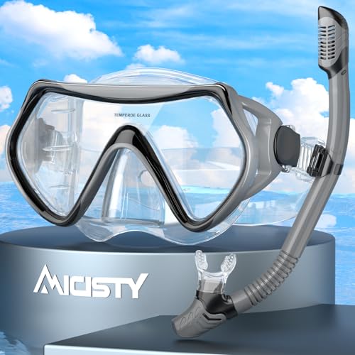 Schnorchelset Erwachsene,Schnorcheln Set-Erwachsene Taucherbrille 180° Panorama Anti-Fog Schwimmbrille Tempered Glas Tauchgerät Maske Verstellbares Silikonband für Schnorcheln Schwimmen von Micisty