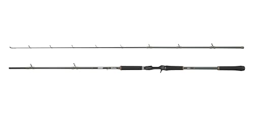 Abu Garcia Beast X Casting Rod, Süßwasserangler Angeln Hecht & Zander, Starkes Leichtgewicht & Vielseitig, Grün, 2.59m Moderat Schnelle Beidhändige Rute von Abu Garcia