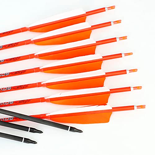 ACCMOS Spine 700 Carbonpfeile 31 Zoll mit 4" Natürliche Feder für Langbogen Recurve Bogen Compoundbogen Bogenschießen Jagd 12 Stück (12pcs, Spine 700) von ACCMOS