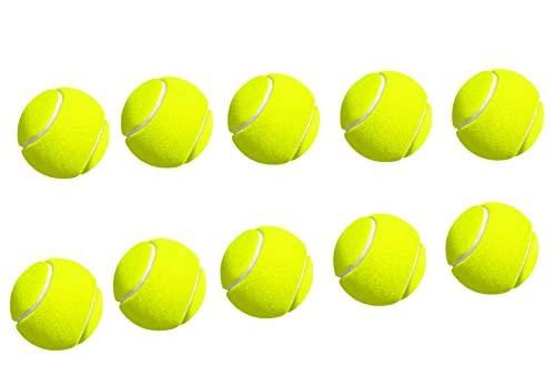 ACL stores 10 Stück Tennisbälle, Tennis-Übungsball in einer Tragetasche, idealer Trainingsball für Hunde, super Sprungkraft, perfekt für Anfängertraining von ACL stores