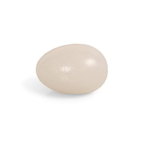 TheraPIE Gel EGG Ball | eiförmiger Handtrainer | HOCHWERTIGE QUALITÄT | Unterarmtrainer | Handmuskeltrainer | Handgreif-Trainer | Fingertrainer | Anti Stress Ball (hell-grau (sehr-leicht)) von AFH Webshop