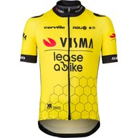 Visma Lease a Bike Kinder 2024 Kurzarmtrikot, Größe L|TEAM VISMA-LEASE A BIKE von AGU