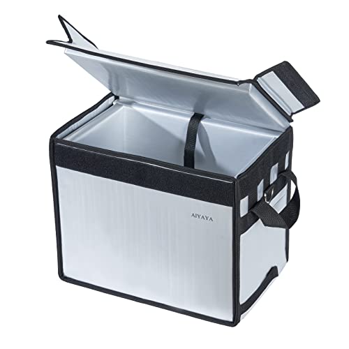 AIYAYA Kühlbox Groß kleine kühltasche faltbar lunchtasche Cooler Box Sportliche Kühlbox Isoliertasche für Sport/Picknick/Fitness/Camping/Grillen/draußen (10 Liter) von AIYAYA