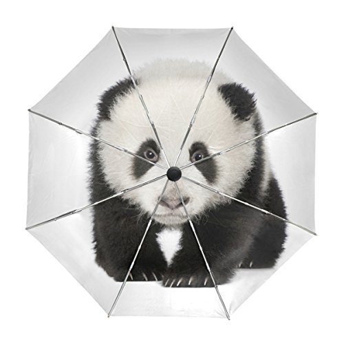 My Daily Liebenswürdig, Panda Reise Auto öffnen/schließen Regenschirm mit Anti-UV-Winddicht leicht von alaza