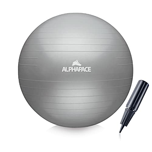 ALPHAPACE Dicker Anti-Burst Gymnastikball Sitzball Trainingsball inkl. Luft-Pumpe, Ball für Fitness, Yoga, Gymnastik, Core Training, für starken Rücken als Büro-Stuhl, Silver, 65cm von ALPHAPACE