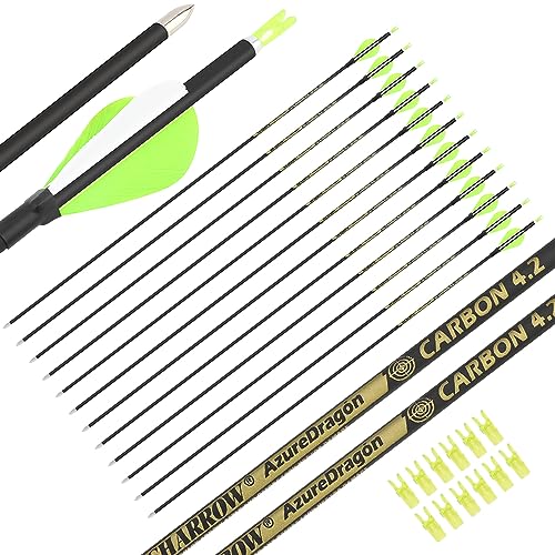 AMEYXGS 31" Carbonpfeile ID 4.2mm Jagdpfeile 700 800 900 1000 Spine mit Naturfeder Pfeile für Recurvebogen Compoundbogen Langbogen (700 Spine/0.001", Grün-Weiß/12pcs) von AMEYXGS