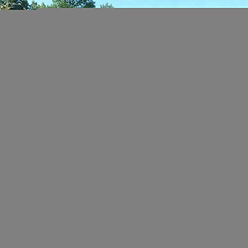 AMXFS Tarnnetz Sonnensegel Camouflage Net 1x3m - Grüne Tarnung Sonnenschutznetze Partydekoration Tarnung Sonnenschutz Net Sichtschutz Autoplanen Woodland Armee von AMXFS