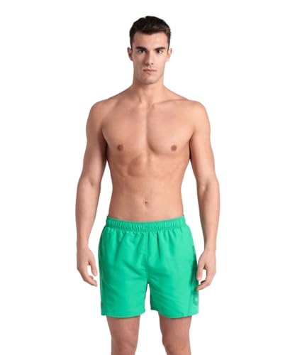 Arena Herren Fundamentals Logo R Boxer Beach Shorts von ARENA