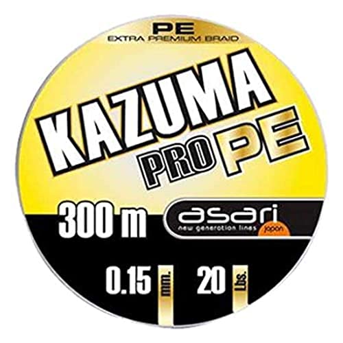 B/300 m ASARI Kazuma Pro PE 0,25 mm von ASARI