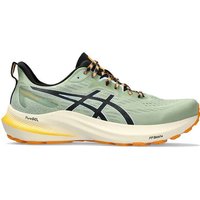 ASICS Herren Laufschuhe GT-2000 12 TR von ASICS