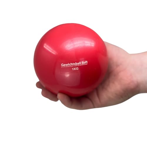 ATC Handels GmbH Gewichtsball Soft einzeln in verschiedenen Gewichten mit Sand gefüllt für Yoga, Pilates, Reha und Fitness - Toningball, Heavy Ball (3,0 kg) von ATC Handels GmbH