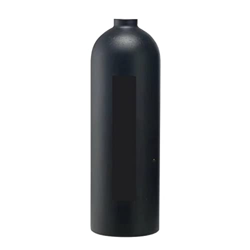 Tauchausrüstung, Tauch-Atemschutzmaske, Sauerstoffflasche, Tragbare Tauchausrüstung, Professionelle Mini-Komplettset-Anfänger-Tauchanzug (Color : 2L Single Bottle, Size : XL) von AXADD