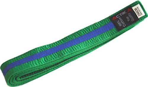 ACTIKA ctika Budogürtel zweifarbig Karate Judo Taekwondo Kampfsport Ju-Jutsu Karategürtel (grün/blau, 260) von ACTIKA
