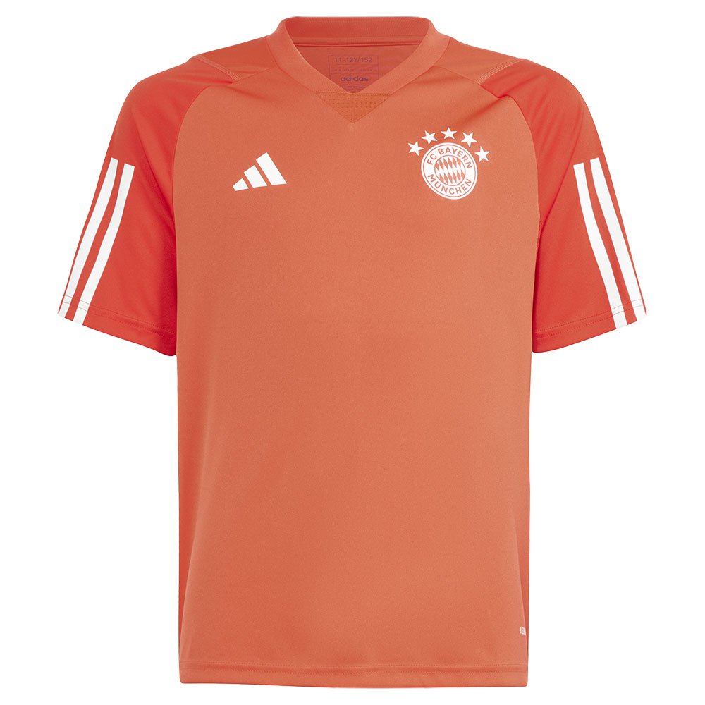 Adidas Bayern Munich 23/24 Junior Short Sleeve T-shirt Training Orange 15-16 Years von Adidas