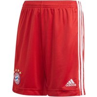 ADIDAS Replicas - Shorts - National FC Bayern München Short Home 2020/2021 von Adidas