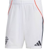 ADIDAS Herren Teamhose FC Bayern München 25/26 Auswärts von Adidas