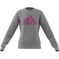 ADIDAS Kinder Essentials Big Logo Cotton Sweatshirt von Adidas