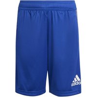 ADIDAS Kinder Shorts B HEATHER SHORT von Adidas