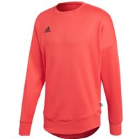 ADIDAS Lifestyle - Textilien - Sweatshirts Tango Terry Jersey Sweatshirt von Adidas