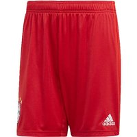 ADIDAS Replicas - Shorts - National FC Bayern München Short UCL 2019/2020 von Adidas