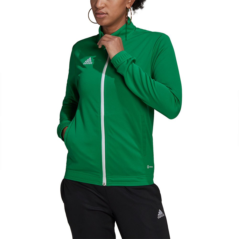 Adidas Entrada 22 Jacket Grün XS / Regular Frau von Adidas