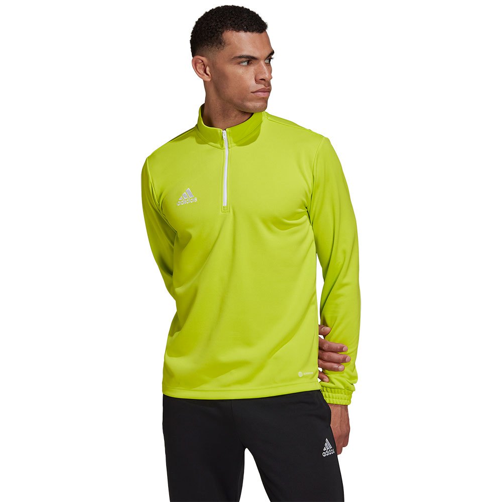 Adidas Entrada 22 Training Sweatshirt Grün L / Regular Mann von Adidas