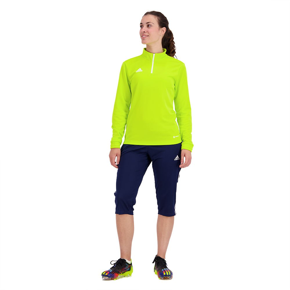 Adidas Entrada 22 Training Sweatshirt Grün XS / Regular Frau von Adidas