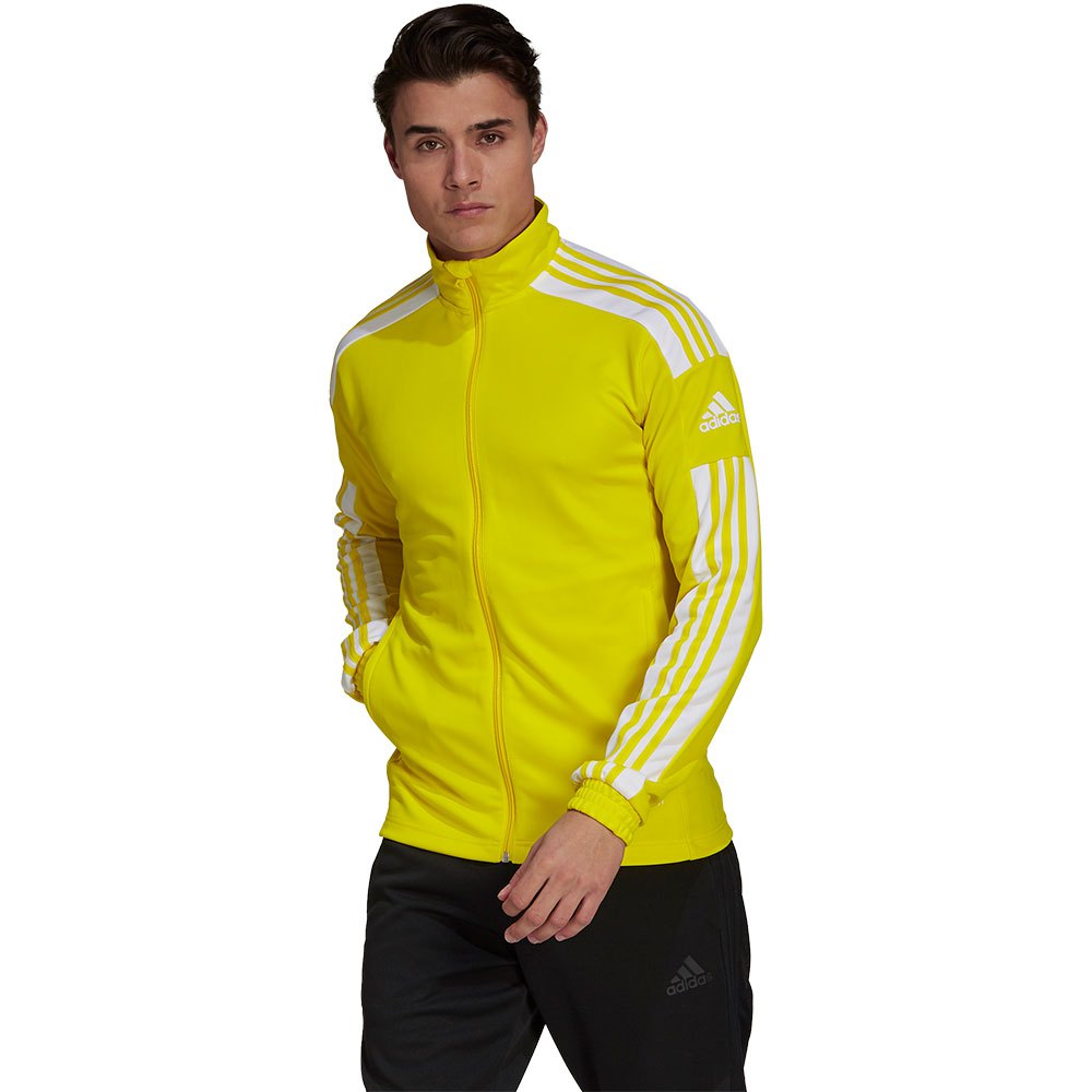 Adidas Squadra 21 Training Jacket Gelb XS / Regular Mann von Adidas