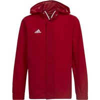 adidas Entrada 22 Allwetterjacke Kinder tepore 116 von adidas performance