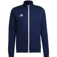 adidas Entrada 22 Trainingsjacke Herren tenabl S von adidas performance