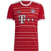 adidas Herren FC Bayern München 22/23 Heimtrikot von Adidas
