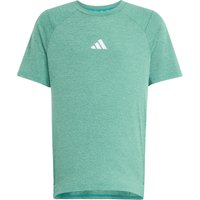 adidas Kinder Goto Pz T-Shirt von Adidas