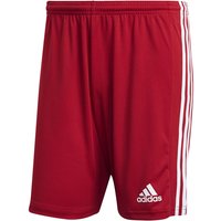 adidas Squadra 21 Fußball Shorts team power red/white L von adidas performance
