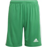 adidas Squadra 21 Shorts Kinder team green/white 152 von adidas performance