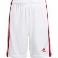 adidas Squadra 21 Shorts Kinder white/team power red 116 von adidas performance