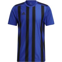 adidas Striped 21 Trikot royblu/black S von adidas performance